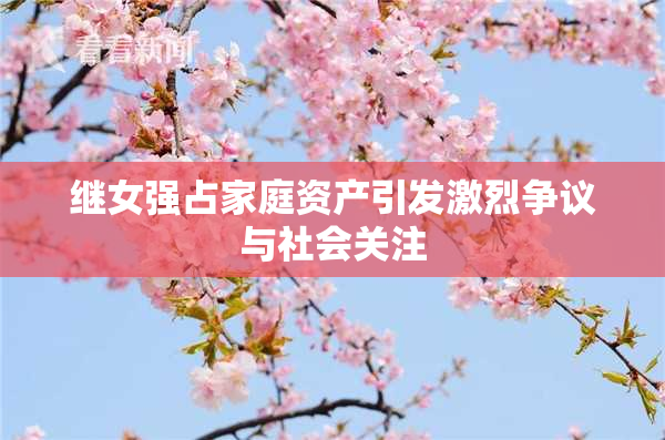 继女强占家庭资产引发激烈争议与社会关注