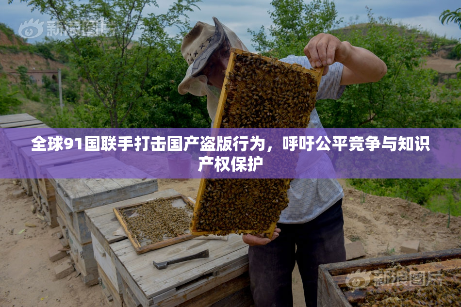 全球91国联手打击国产盗版行为，呼吁公平竞争与知识产权保护