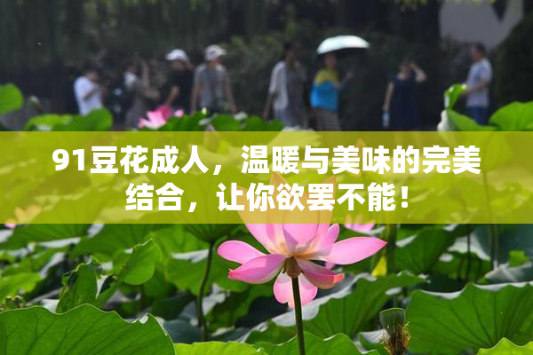 91豆花成人，温暖与美味的完美结合，让你欲罢不能！