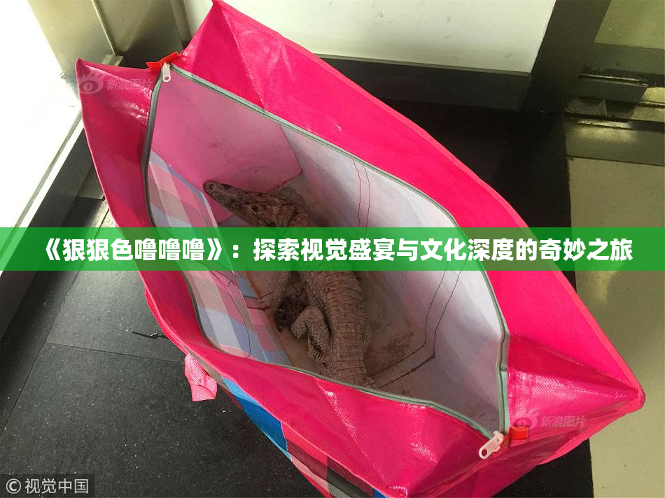 《狠狠色噜噜噜》：探索视觉盛宴与文化深度的奇妙之旅