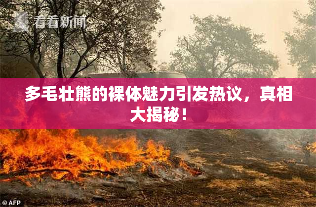 多毛壮熊的裸体魅力引发热议，真相大揭秘！