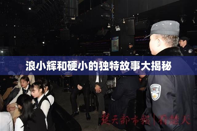 浪小辉和硬小的独特故事大揭秘