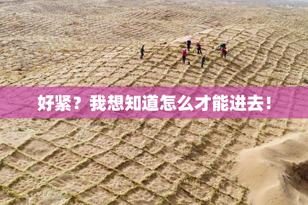 好紧？我想知道怎么才能进去！