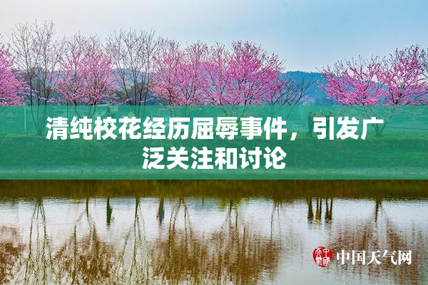 清纯校花经历屈辱事件，引发广泛关注和讨论