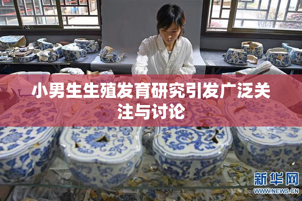 小男生生殖发育研究引发广泛关注与讨论