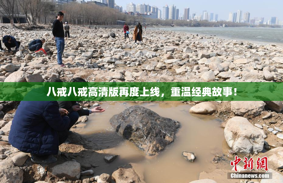 八戒八戒高清版再度上线，重温经典故事！