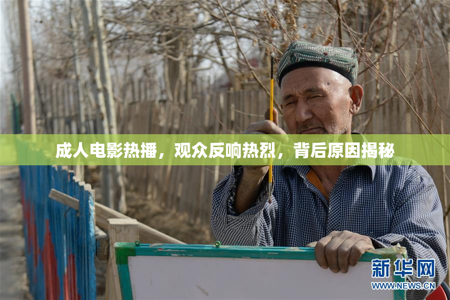 成人电影热播，观众反响热烈，背后原因揭秘