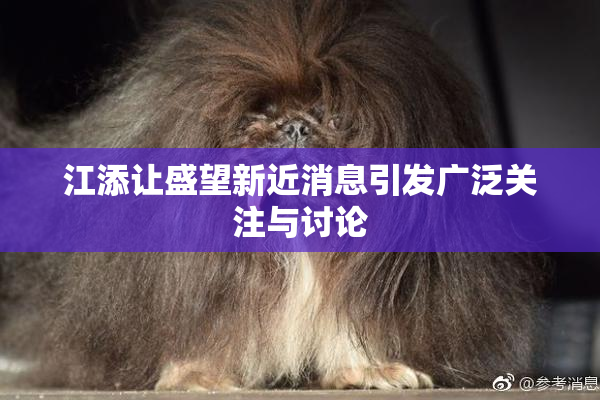 江添让盛望新近消息引发广泛关注与讨论