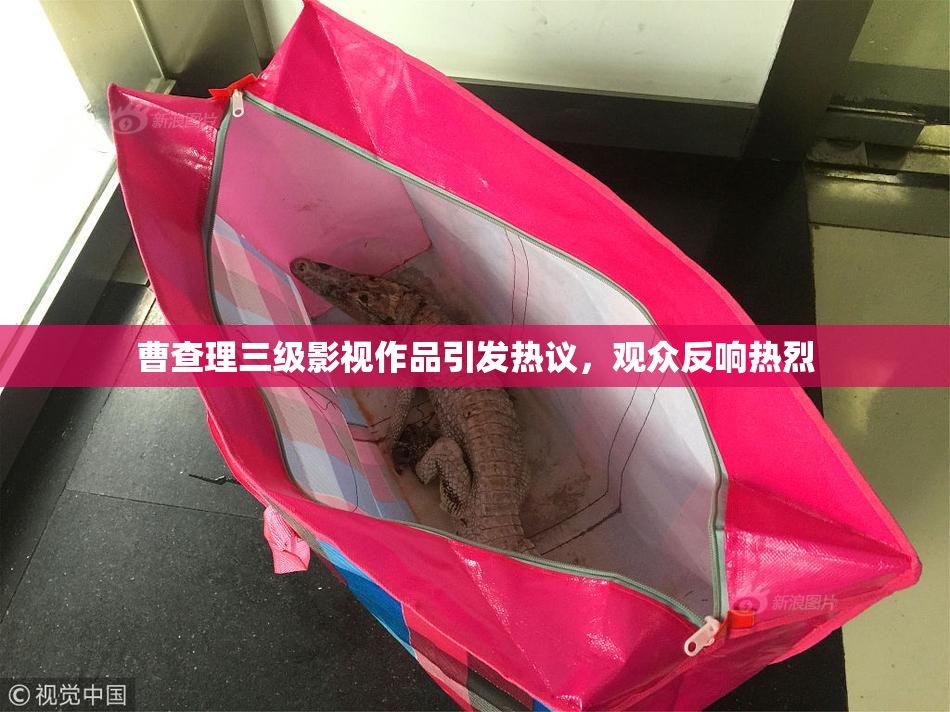曹查理三级影视作品引发热议，观众反响热烈