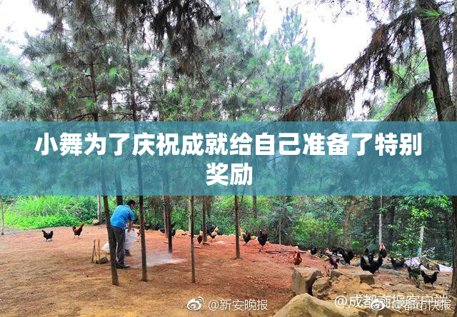 小舞为了庆祝成就给自己准备了特别奖励