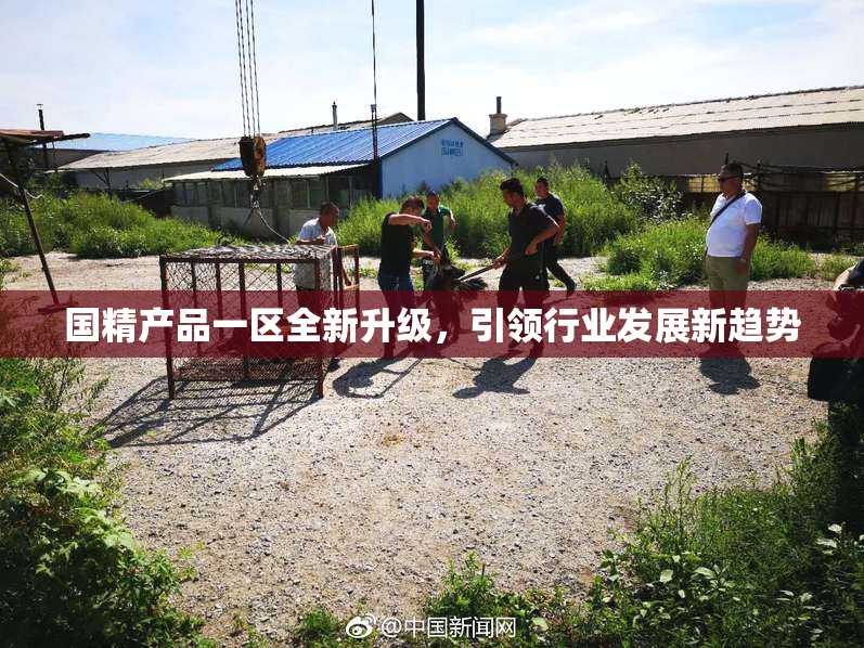 国精产品一区全新升级，引领行业发展新趋势