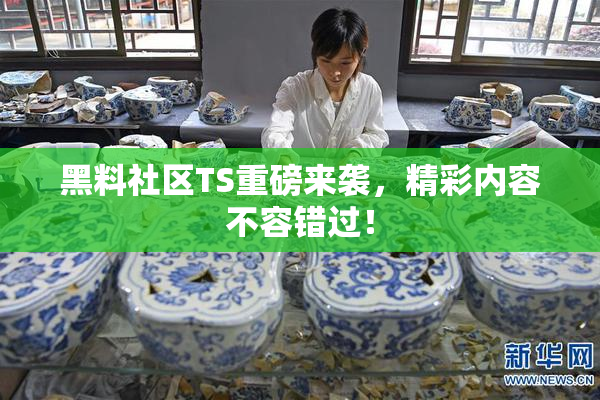 黑料社区TS重磅来袭，精彩内容不容错过！