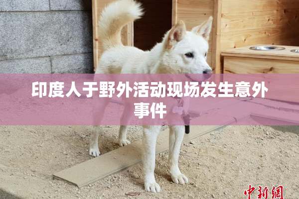 印度人于野外活动现场发生意外事件
