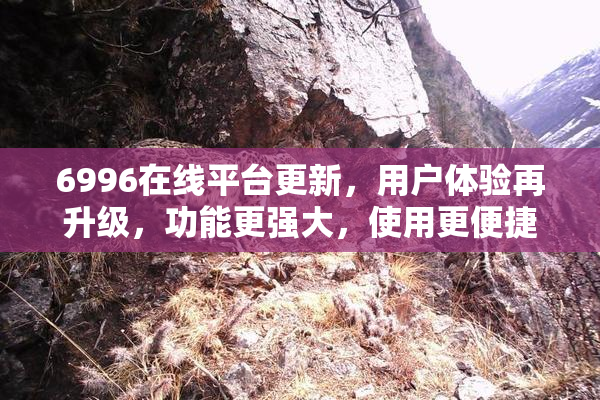 6996在线平台更新，用户体验再升级，功能更强大，使用更便捷！