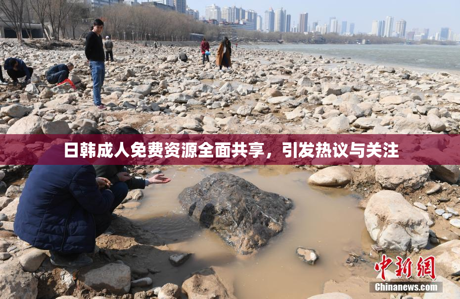 日韩成人免费资源全面共享，引发热议与关注