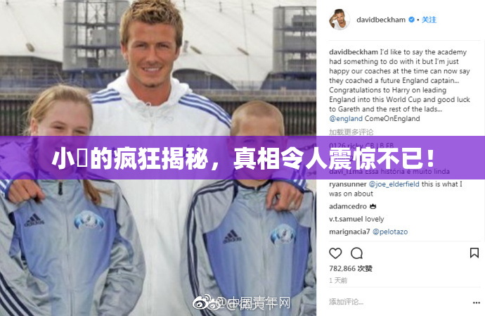 小泬的疯狂揭秘，真相令人震惊不已！