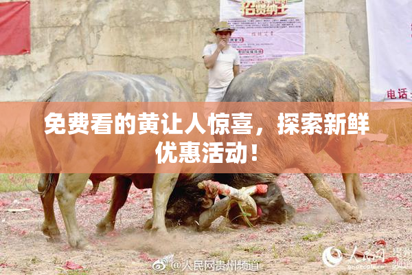 免费看的黄让人惊喜，探索新鲜优惠活动！