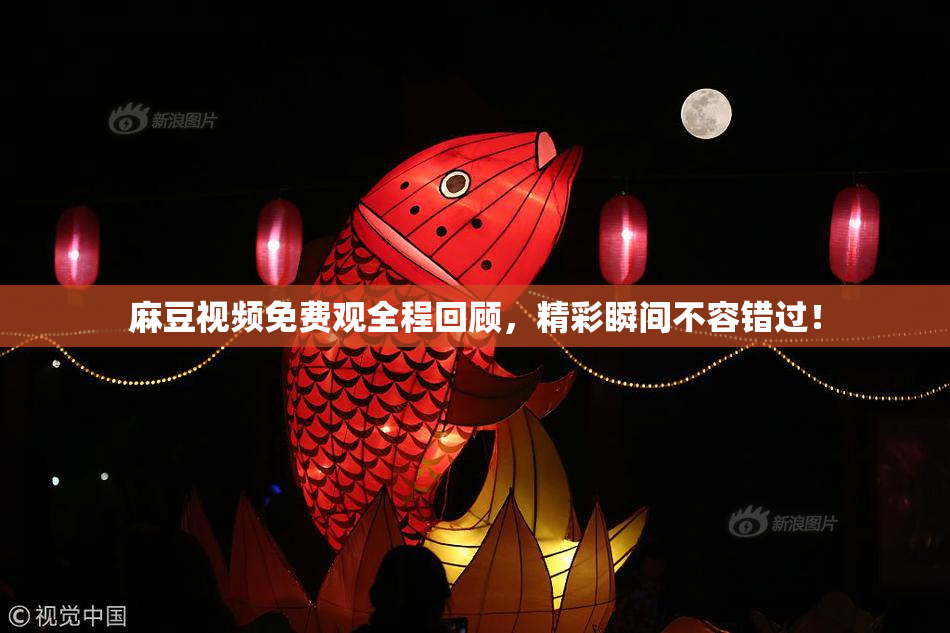 麻豆视频免费观全程回顾，精彩瞬间不容错过！