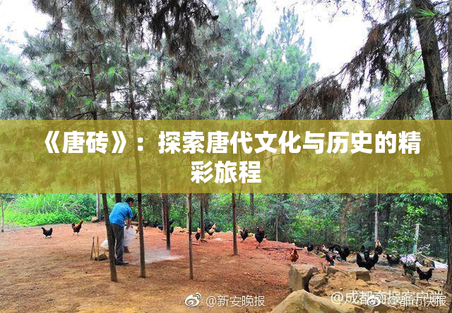 《唐砖》：探索唐代文化与历史的精彩旅程