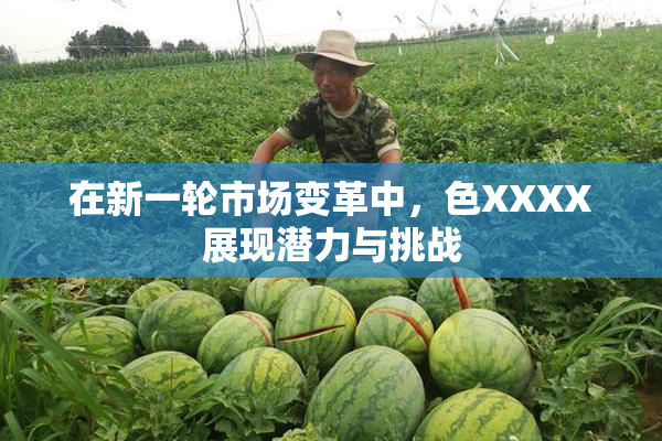 在新一轮市场变革中，色XXXX展现潜力与挑战