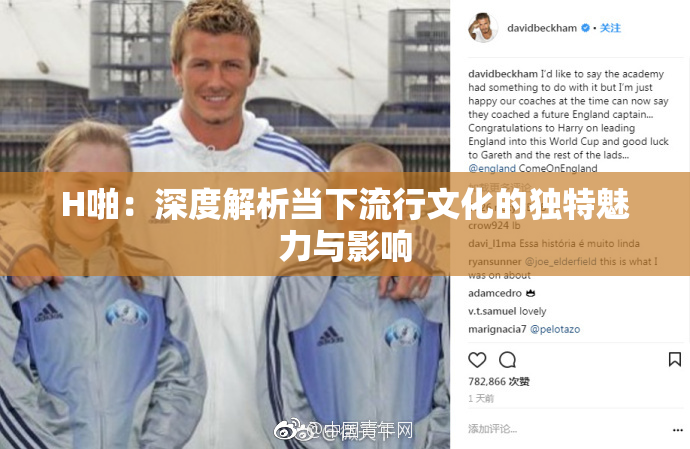 H啪：深度解析当下流行文化的独特魅力与影响