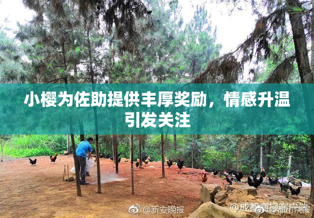 小樱为佐助提供丰厚奖励，情感升温引发关注