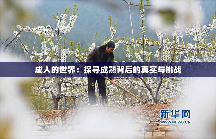 成人的世界：探寻成熟背后的真实与挑战