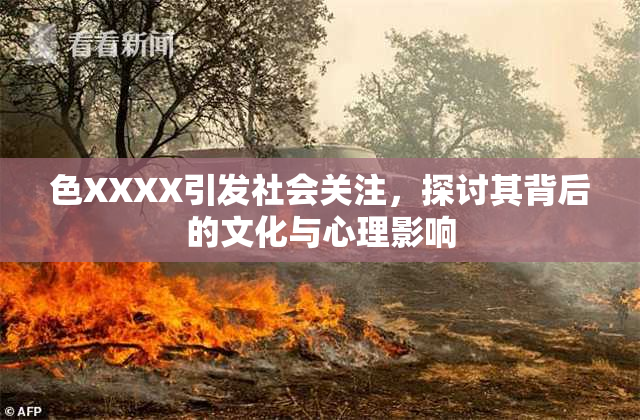 色XXXX引发社会关注，探讨其背后的文化与心理影响