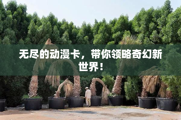 无尽的动漫卡，带你领略奇幻新世界！