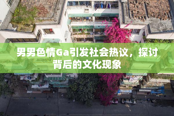 男男色情Ga引发社会热议，探讨背后的文化现象