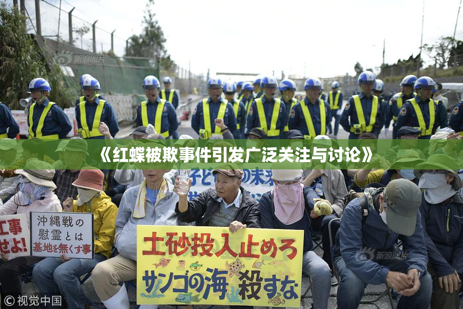 《红蝶被欺事件引发广泛关注与讨论》