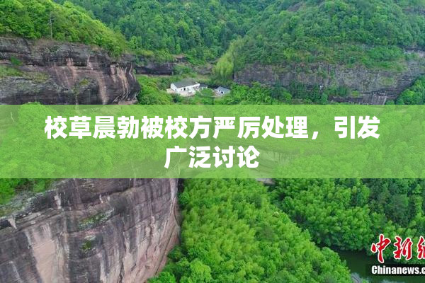 校草晨勃被校方严厉处理，引发广泛讨论