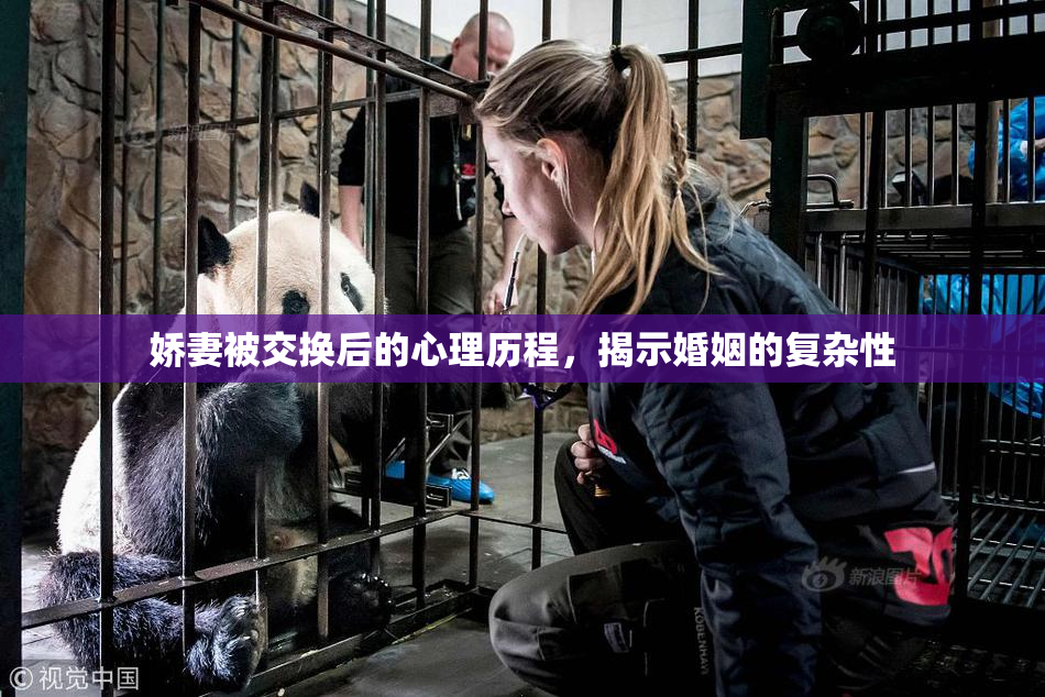 娇妻被交换后的心理历程，揭示婚姻的复杂性