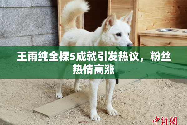 王雨纯全棵5成就引发热议，粉丝热情高涨