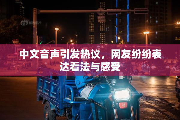 中文音声引发热议，网友纷纷表达看法与感受