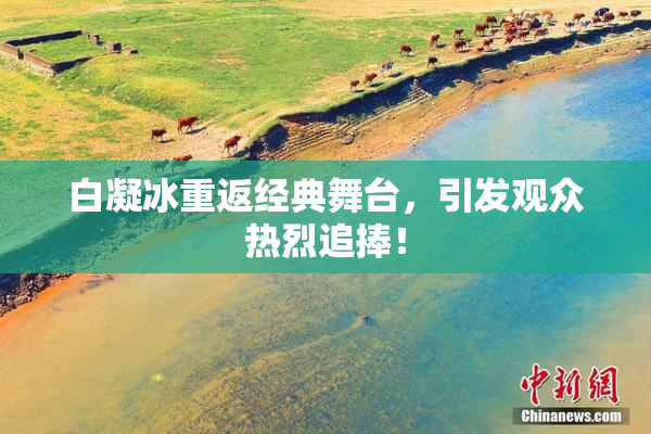 白凝冰重返经典舞台，引发观众热烈追捧！
