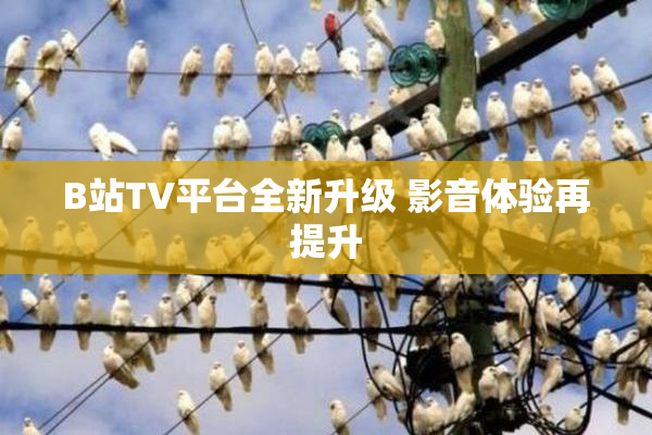 B站TV平台全新升级 影音体验再提升
