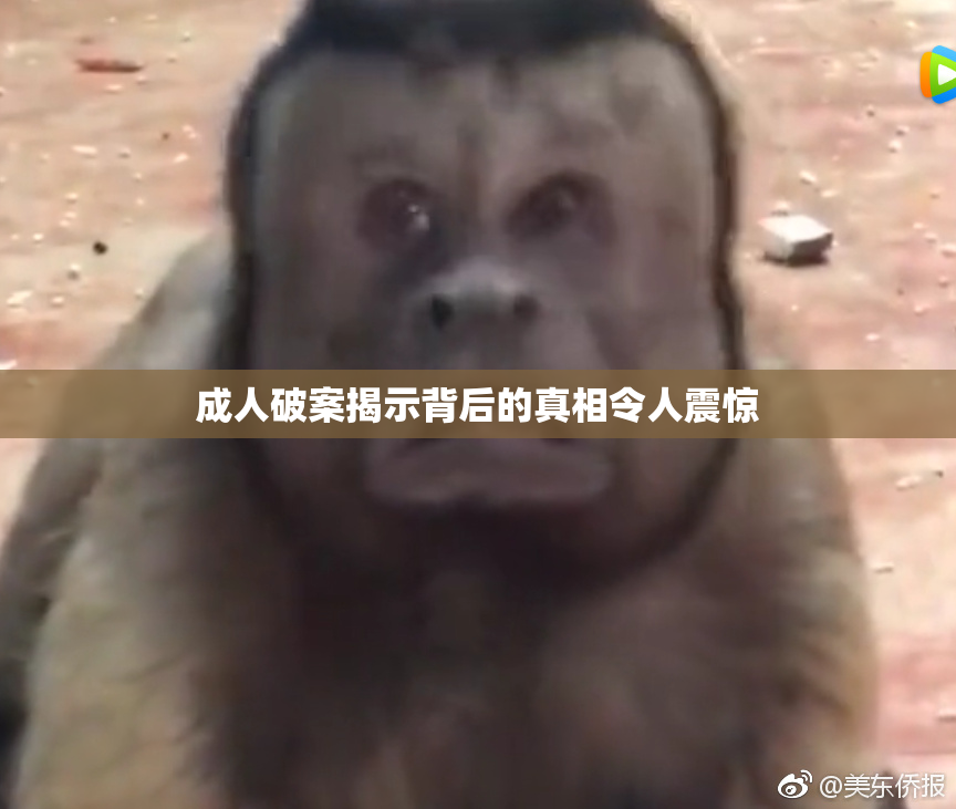 成人破案揭示背后的真相令人震惊