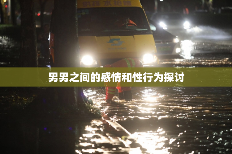 男男之间的感情和性行为探讨