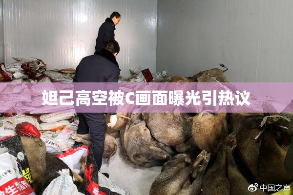 妲己高空被C画面曝光引热议