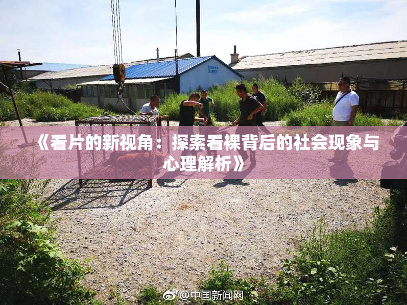 《看片的新视角：探索看裸背后的社会现象与心理解析》