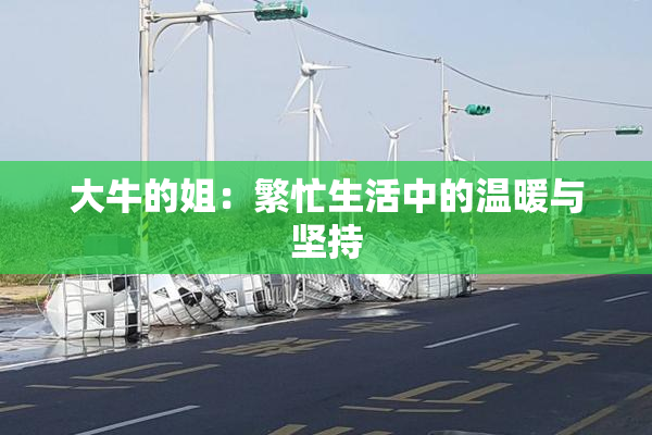 大牛的姐：繁忙生活中的温暖与坚持