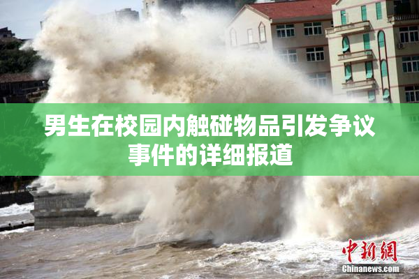男生在校园内触碰物品引发争议事件的详细报道