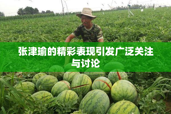 张津瑜的精彩表现引发广泛关注与讨论