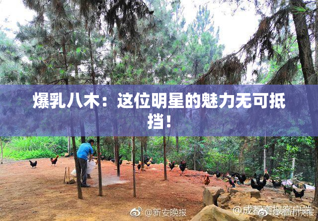 爆乳八木：这位明星的魅力无可抵挡！