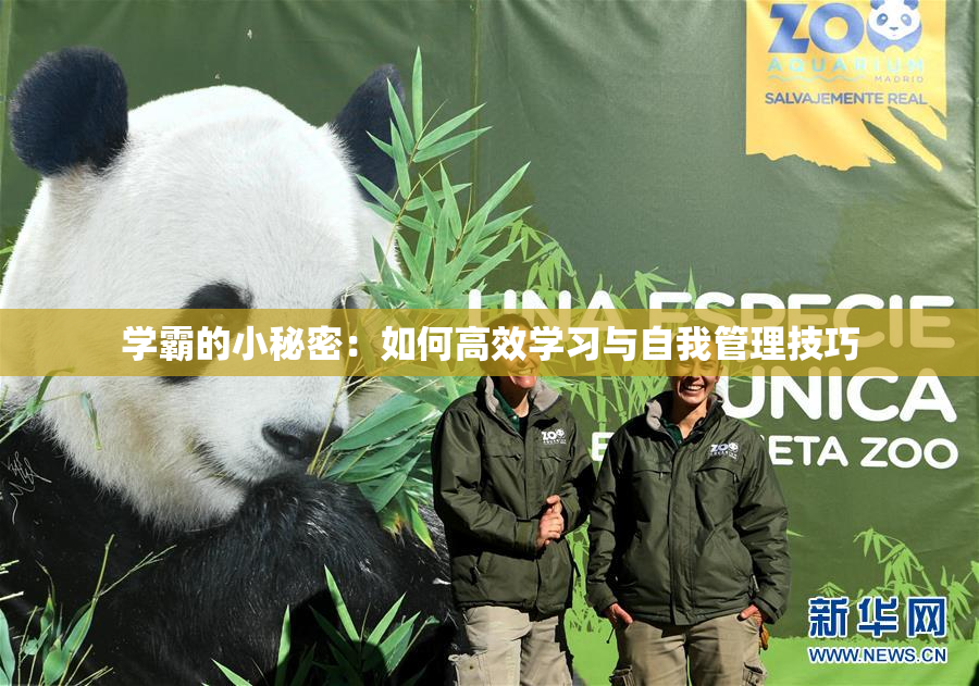 学霸的小秘密：如何高效学习与自我管理技巧