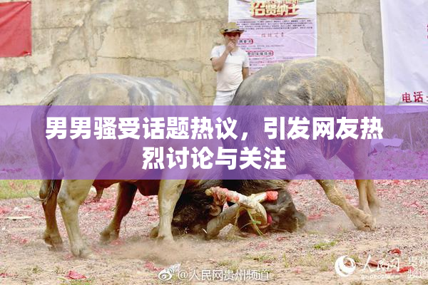 男男骚受话题热议，引发网友热烈讨论与关注