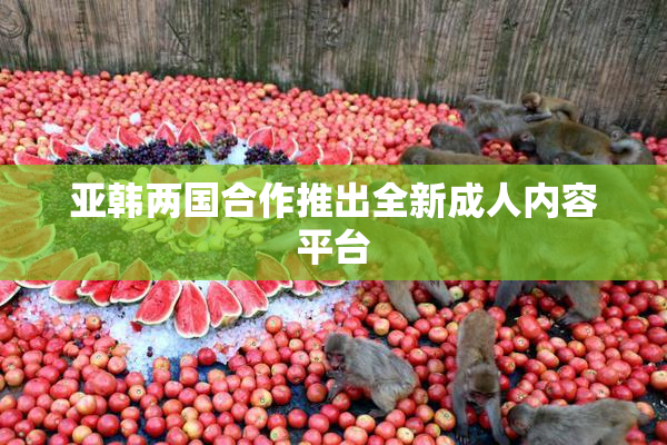 亚韩两国合作推出全新成人内容平台