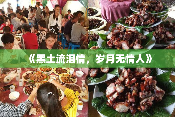 《黑土流泪情，岁月无情人》