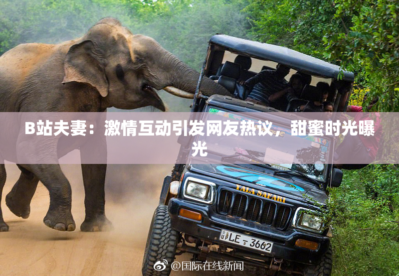 B站夫妻：激情互动引发网友热议，甜蜜时光曝光